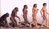 Предки людей стали прямоходящими благодаря мутации?