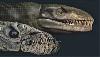Обнаружен морской крокодил юрского периода