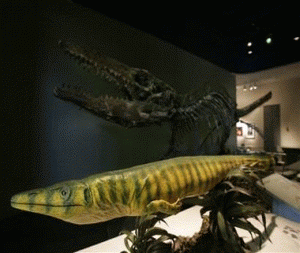 Найден древнейший мозазавр Dallasaurus turneri