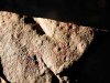 Ученые обнаружили очень древние следы