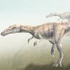 Бескрылый крылатый динозавр поставил учёных в тупик