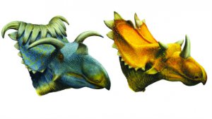 Палеонтологи нашли двух новых рогатых динозавров