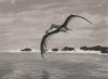 Гигантские птерозавры летали хорошо, но медленно